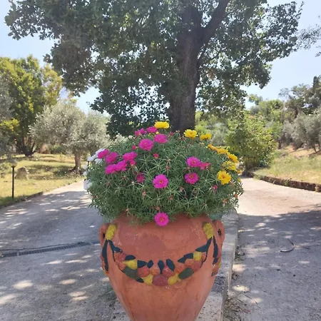 La Selvarella Apartment Montecchio (Terni)