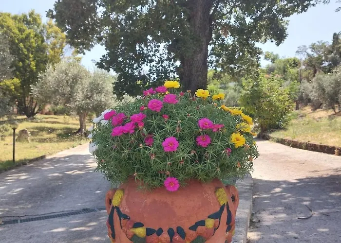 La Selvarella Apartamento Montecchio (Terni)