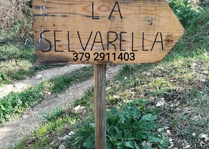 La Selvarella Apartamento